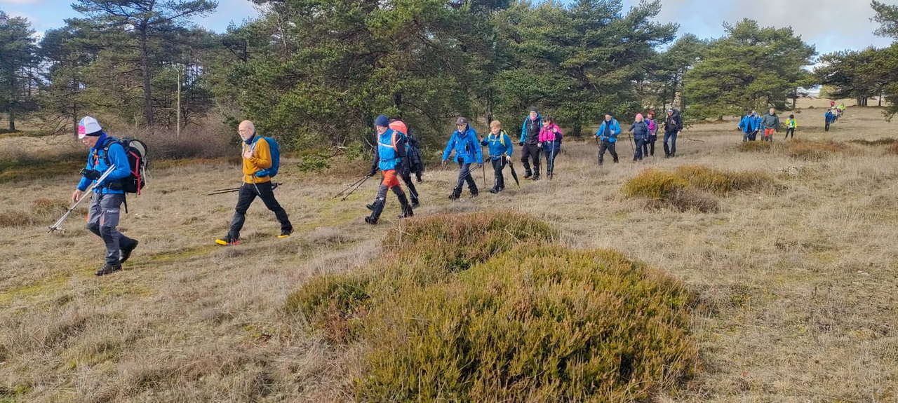 WhatsApp Image 2026-02-10 at 14.47.46 (2)